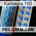 Kamagra 100 40